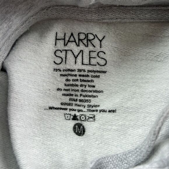 Harry Styles Harry’s House gray hoodie pop up shop official merch - Picture 6 of 6